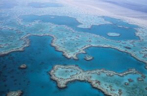 great barrier reef, corals, australia-527987.jpg