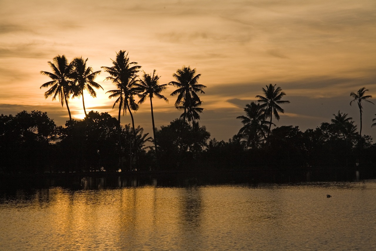 india, kerala, backwaters-165346.jpg